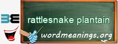 WordMeaning blackboard for rattlesnake plantain